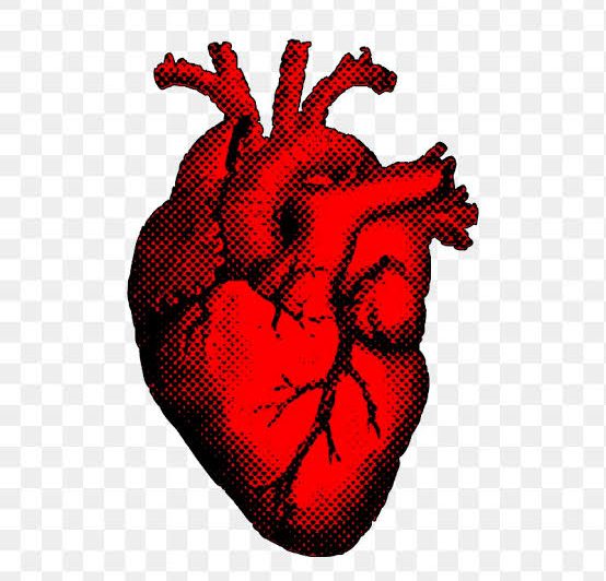 Health Care Services